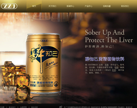 長(zhǎng)沙做網(wǎng)站案例_泰然南湖玫瑰灣